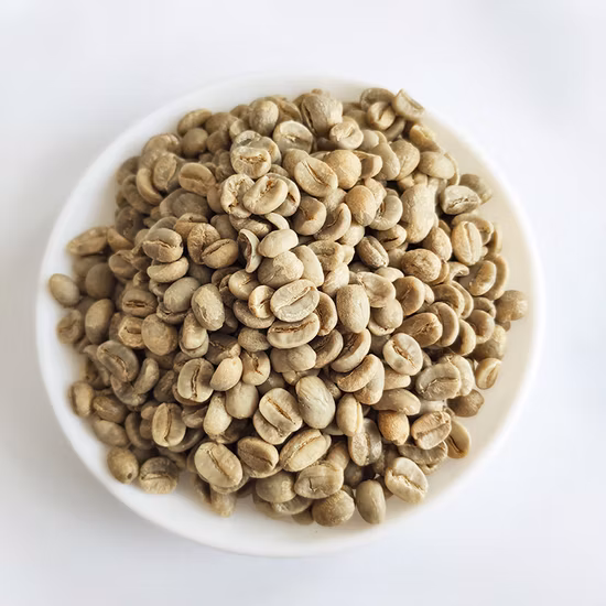 Exporter des grains de café vert Arabica de haute qualité